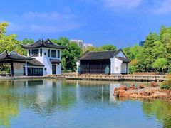 -红梅公园