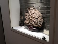 -大鸿运酒店·苏州菜·松鼠桂鱼(观前街店)