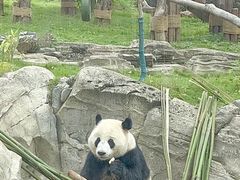 -武汉动物园