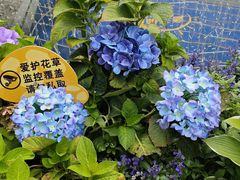 -首创奥特莱斯(北京店)