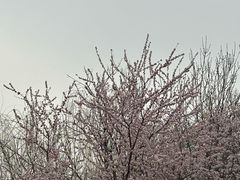 -北运河水利风景区