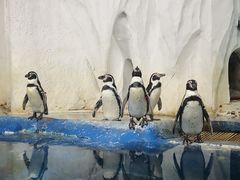 -太平洋海底世界