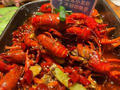 金奖小龙虾(麻辣)-馋嘴猫北京食堂·烤鸭·宵夜(亚运村店)