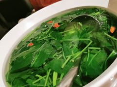 -醉庐·新上海菜(南京西路店)