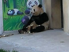 -西安秦岭野生动物园