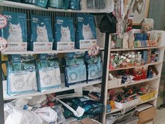 -米苏动物医院·犬猫专科·骨科外科内窥镜