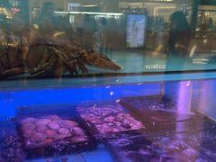 -大头椰·椰子鸡火锅(南宁万象城店)