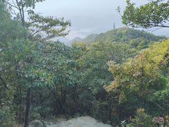 -梧桐山风景名胜区