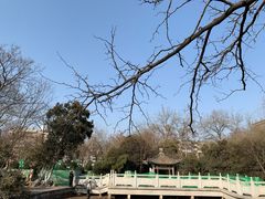 -莲湖公园