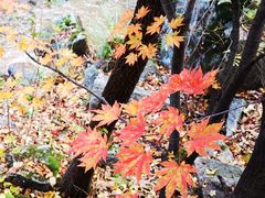 -丹东天桥沟景区