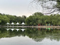 -青城公园