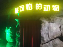 -横店影视城梦幻谷园区