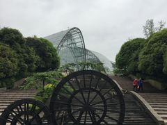 -南山植物园