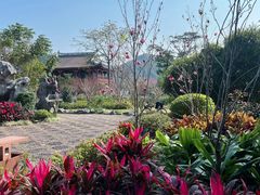 -顺峰山公园