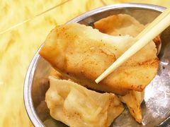 -向群锅饺(登高路店)
