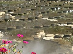 -千年银杏谷文化旅游区