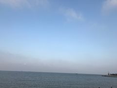 -野狸岛