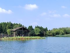 -溱湖国家湿地公园