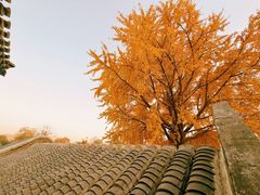 -自如ZSPACE四合院艺术餐厅