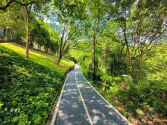 -中国美术学院象山校区-民艺博物馆