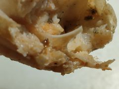 -吉布鲁牛排海鲜自助(CBD万达店)