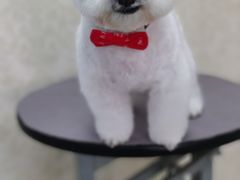 -乐琪宠物(青塔西路店)