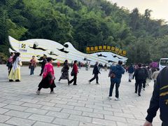 -西双版纳原始森林公园
