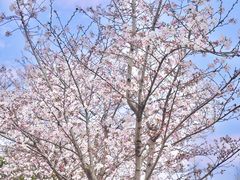 -长田漾湿地公园