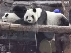 -鄂尔多斯野生动物园