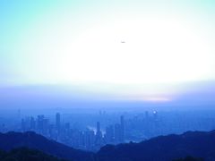 -大金鹰园