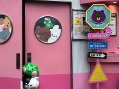 -line friends(明洞旗舰店)