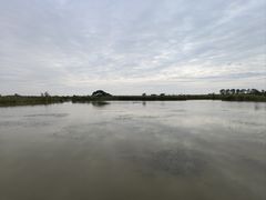 -盐城丹顶鹤湿地生态旅游区