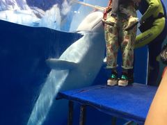 -福州罗源湾海洋世界旅游区