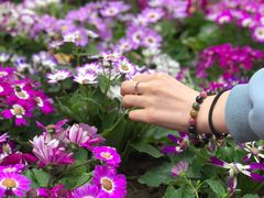 -Tiffany & Co.蒂芙尼
(天津万象城店)