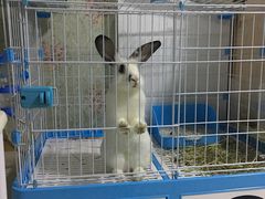 -麦雪尔甜品·生日蛋糕(新街口旗舰店)