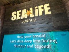 -悉尼海洋生物水族馆