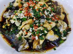 -全乐鱼馆·淳牌有机鱼直营店