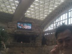 -杭州开元森泊度假乐园