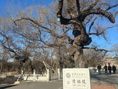 -北陵公园