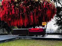 -狼山风景名胜区