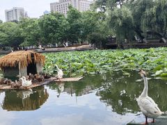 -翠湖宾馆·中餐厅