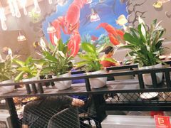 -指爱龙虾(金杨路总店)