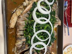 -鱼酷活鱼烤鱼(恒隆广场店)