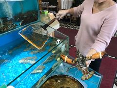 -港畔赶海蒸汽海鲜烧烤自助(仙螺岛店)