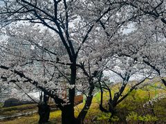 -韩国战争纪念馆