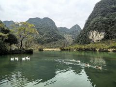 -靖西鹅泉风景区