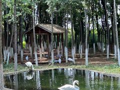 -艾溪湖湿地公园
