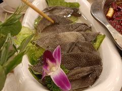 屠场鲜毛肚-王少龙火锅(五小区店)