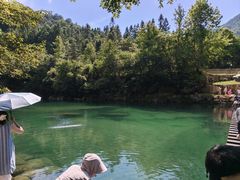 -石台牯牛降景区