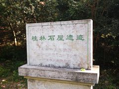 -灵谷景区